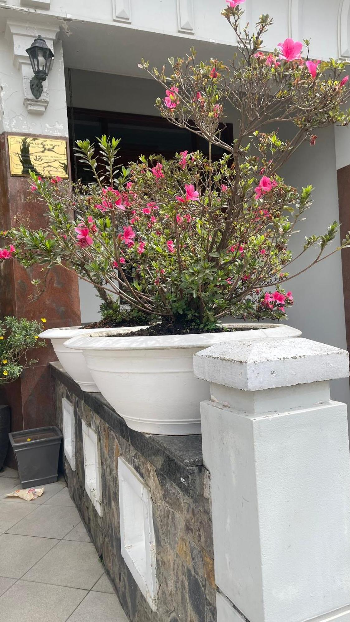 Duy Thao 2 Hotel Da Lat Exterior photo