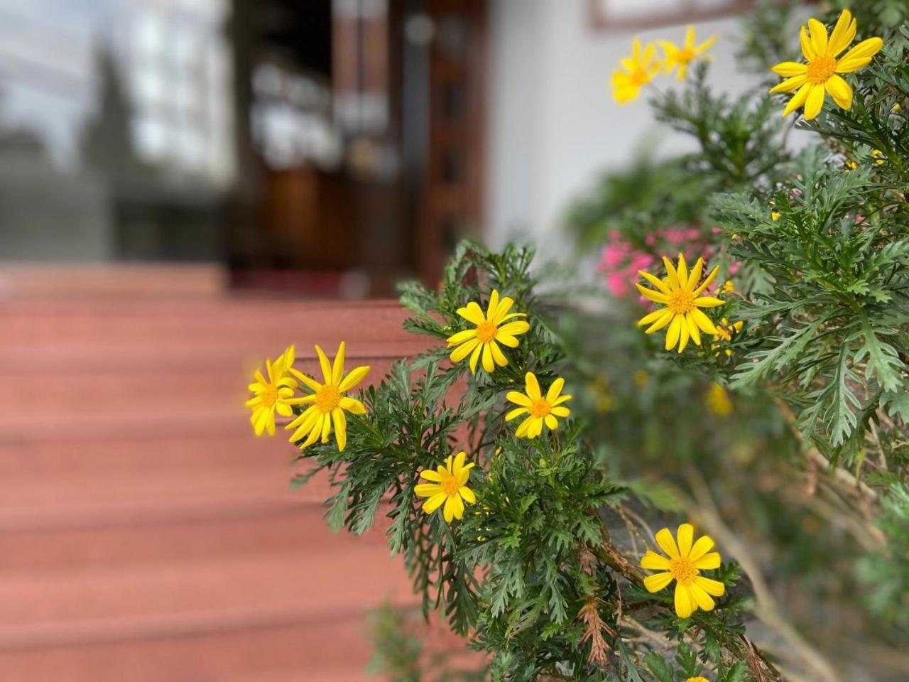 Duy Thao 2 Hotel Da Lat Exterior photo